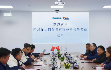 跨界聚力?智啟新程|瀘州老窖集團一行赴遠(yuǎn)東股份宜賓智能產(chǎn)業(yè)園共探合作新機